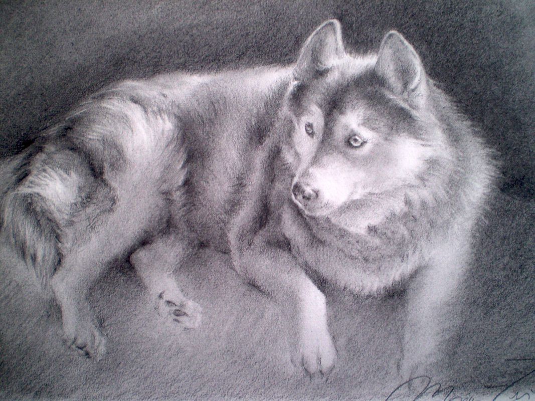 Retrato a lápiz