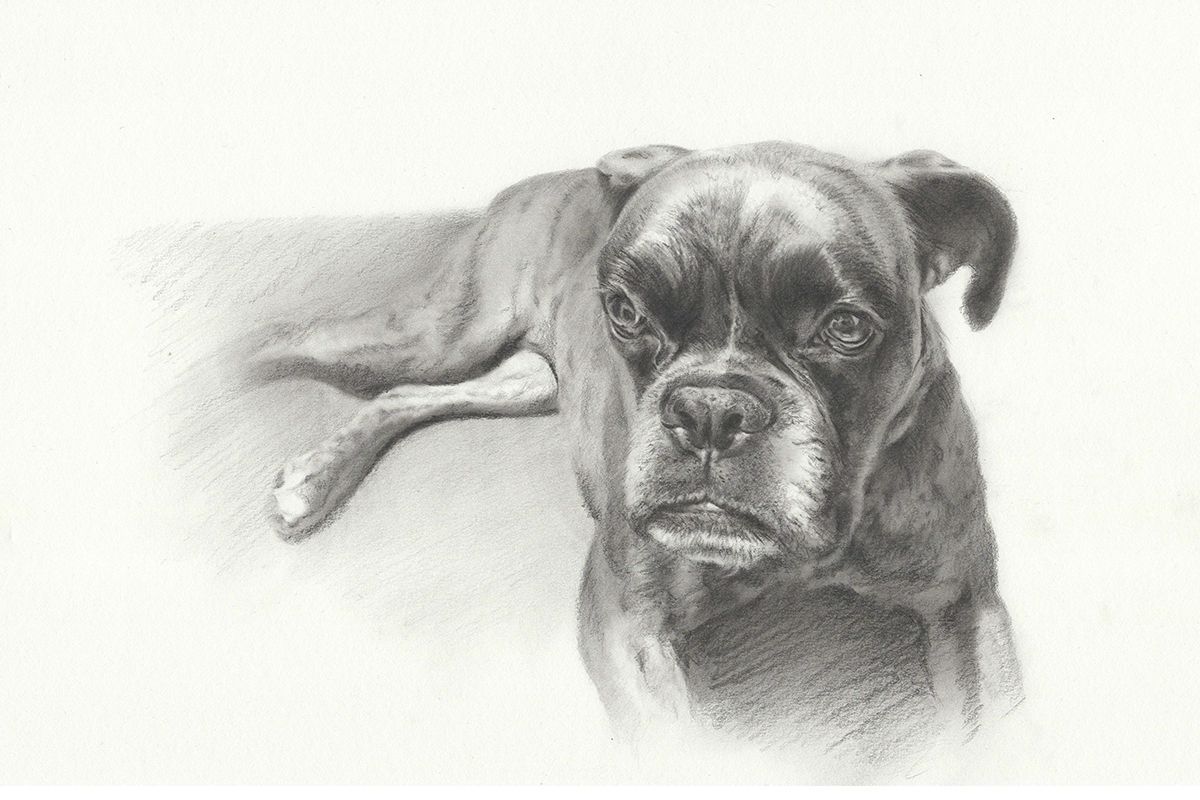 Retrato a lápiz