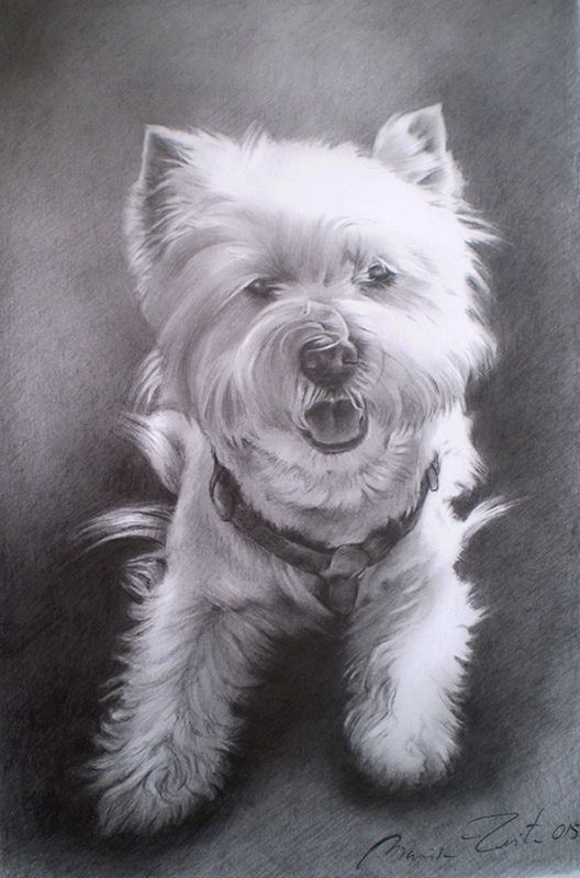 Retrato a lápiz