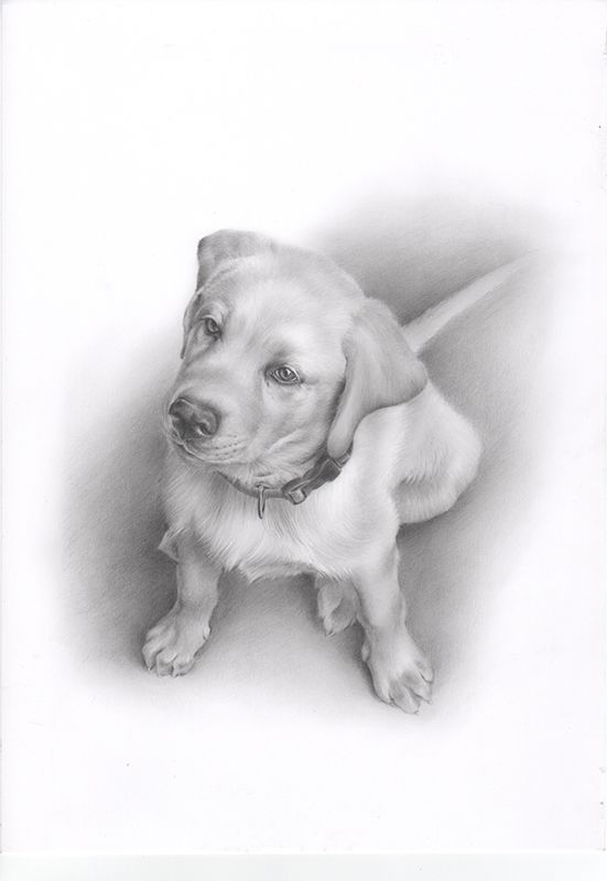 Retrato a lápiz