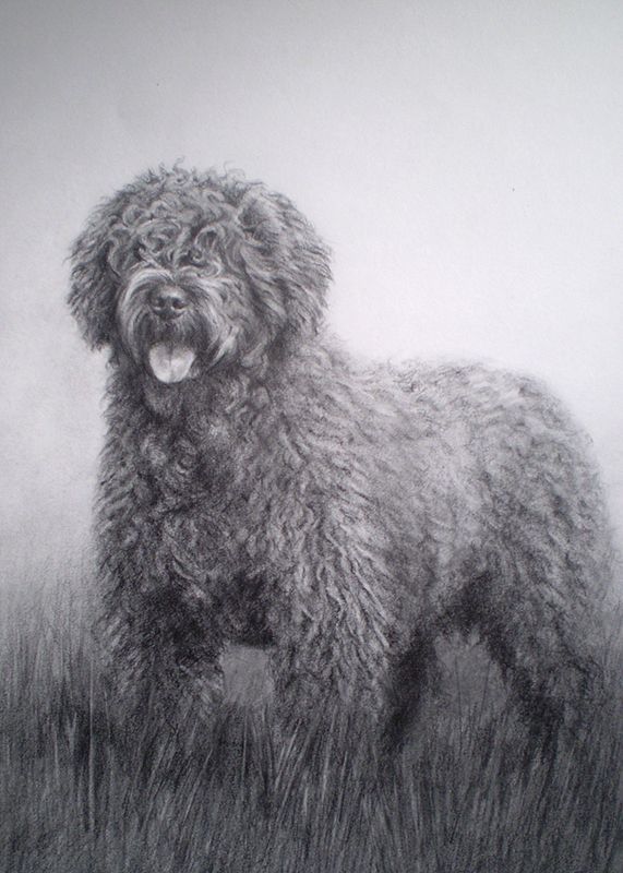 Retrato a lápiz