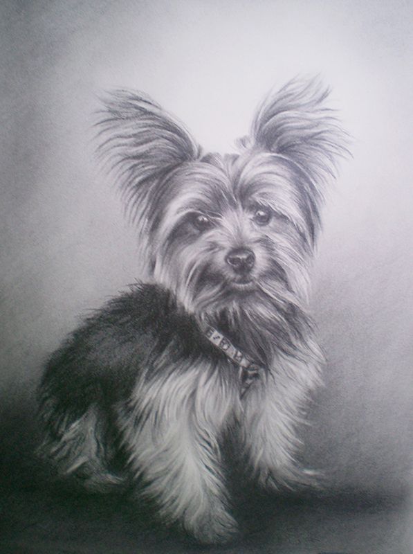 Retrato a lápiz